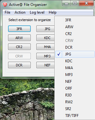 File Organizer. Active@ File Recovery