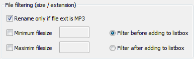 Size and extension filters. File organizer