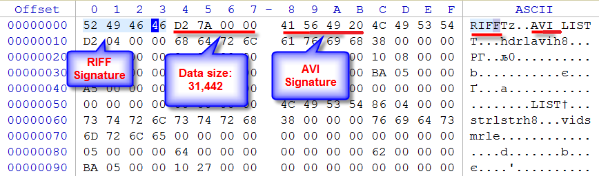 AVI file - signature inspection