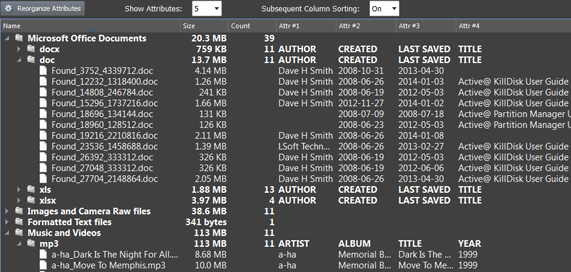 File Recovery software: File Organizer